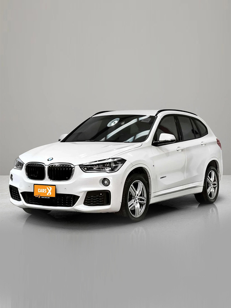 2017 BMW X1 2.0 SDRIVE 18D M SPORT [1P2475V]