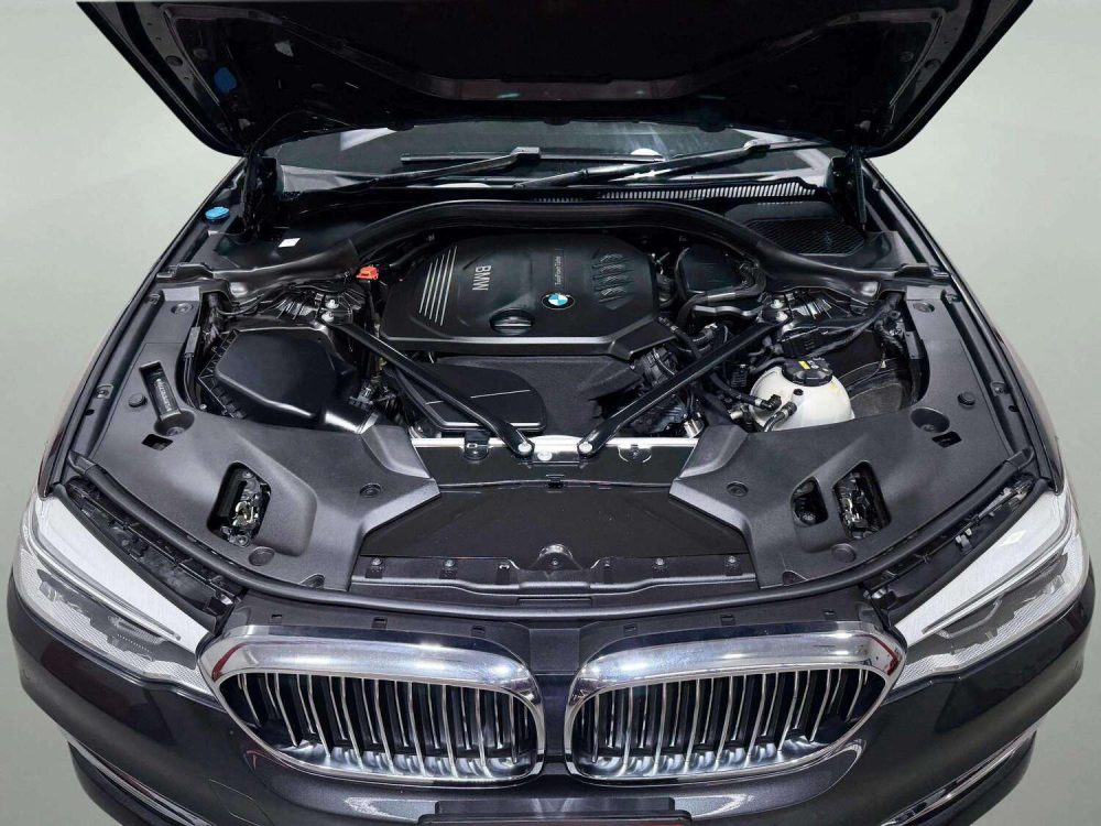 2018 BMW 520D 2.0 LUXURY [1N0043V]